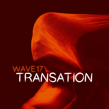 WAVE17 - Transation