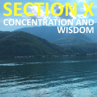 Section X - Concentration and Wisdom