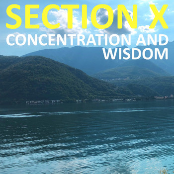 Section X - Concentration and Wisdom
