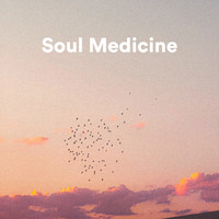 Medicina Relaxante, Sov Gott, Sleep Ambience - Soul Medicine