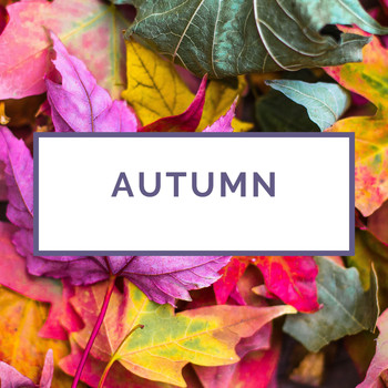 Various Artists - Autumn