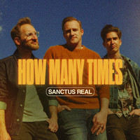 Sanctus Real - How Many Times