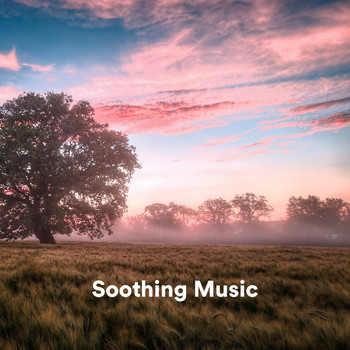 Spa Music & Meditation Collective, Amazing Spa Music, Spa Music Relaxation - Soothing Music