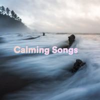 Relaxation Songs, Meditation Songs, Calming Songs - Calming Songs