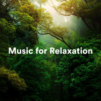 Spa, Yoga, White Noise Therapy - Music for Relaxation