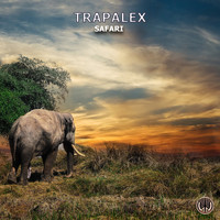 TrapaleX - Safari