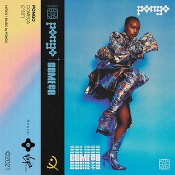 Pongo - Começa