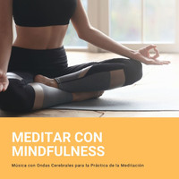Serenidad Academia Guru - Meditar con Mindfulness: Música con Ondas Cerebrales para la Práctica de la Meditación