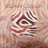 VILAIN COEUR - Le zèbre