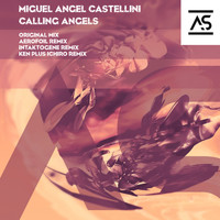 Miguel Angel Castellini - Calling Angels