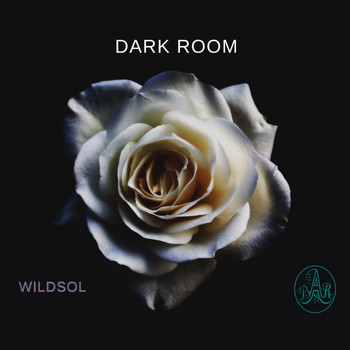 WildSol - Dark Room