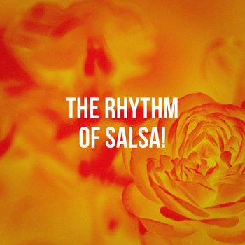 Acordeón Latino, Bachata Klan, Café Latino - The Rhythm of Salsa!