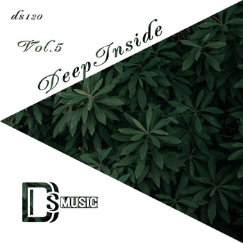 Various Artists - Deep Inside, Vol. 5