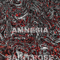 Saint Rose - Amnesia