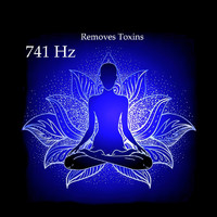 Music Body and Spirit - 741 Hz Remove Toxins