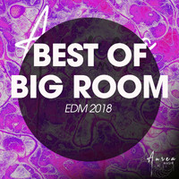 Amos DJ - Best of Big Room EDM 2018