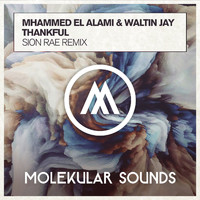 Mhammed El Alami & Waltin Jay - Thankful (Sion Rae Remix)