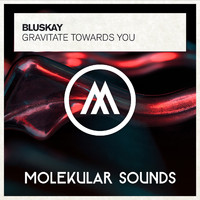Bluskay - Gravitate Towards You