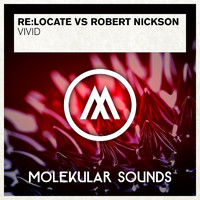 Re:Locate vs. Robert Nickson - Vivid