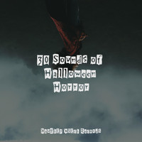 Halloween Kids, Monster's Halloween Party, Haunted House - 30 Sounds of Halloween Horror
