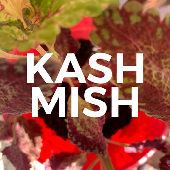 Kash - Mish