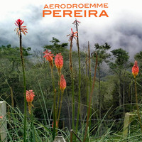 Aerodroemme - Pereira