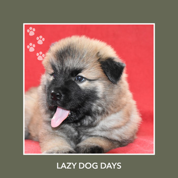 Relaxing Dog Music - Lazy Dog Days