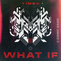 Timbo - What If