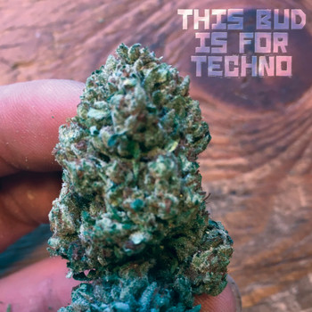 Various Artists - This Bud Is for Techno