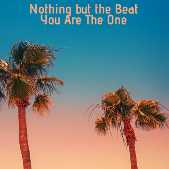 Nothing But The Beat - You Are the One