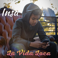 INSA - La Vida Loca