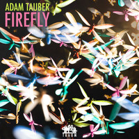 Adam Tauber - Firefly