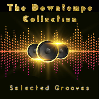 Various Artists - The Downtempo Collection (Selected Grooves)