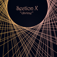Section X - Divine