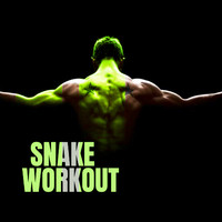 Snake - Workout, Vol. 2