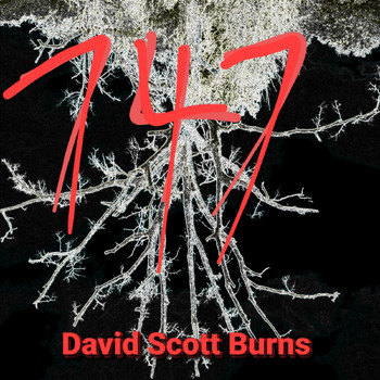 David Scott Burns - 747