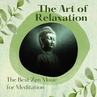Space Music Orchestra - The Art of Relaxation - The Best Zen Music for Meditation
