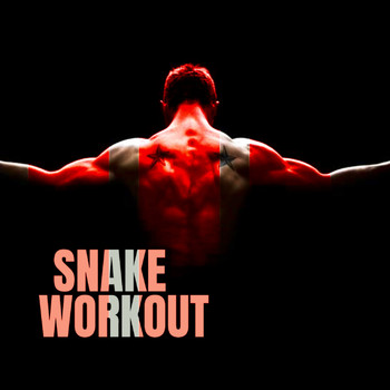 Snake - Workout, Vol. 3