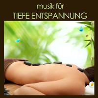 Meister der Entspannung und Meditation - Musik für Tiefe Entspannung: Yoga, Spa, Wellness Musik