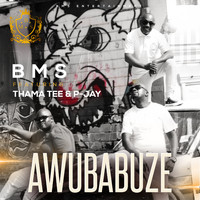 BMS - Awubabuze