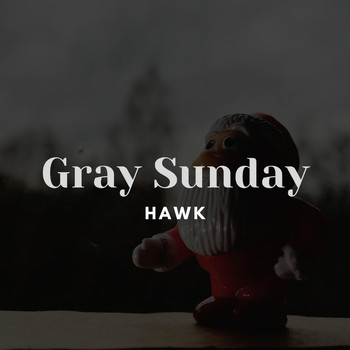 Hawk - Gray Sunday