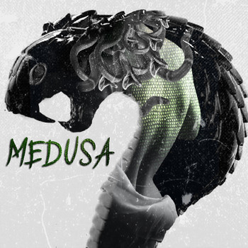 RIIO - Medusa