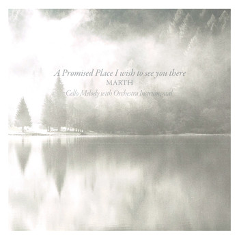 MARTH - A Promised Place - I Wish to See You There (Original Motion Picture Soundtrack) (Cello Melody with Orchestra)