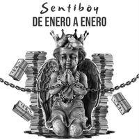 sentiboy - De enero a enero