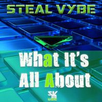 Steal Vybe - What It's All About