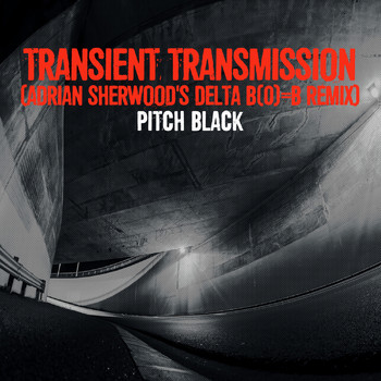 Pitch Black - Transient Transmission (Adrian Sherwood's Delta B(0)=B Remix)