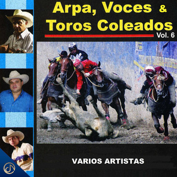 Varios Artistas - Arpa, Voces & Toros Coleados, Vol. 6