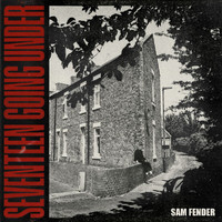 Sam Fender - Seventeen Going Under (Explicit)