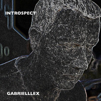 Gabrielllex - Introspect