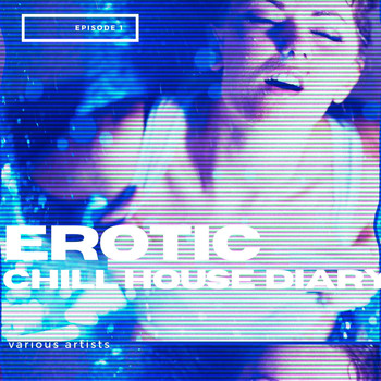 Various Artists - Erotic Chill House Diary (Episode 01)